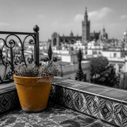 Las mejores terrazas con vistas en Sevilla para elegir bien tu hotel